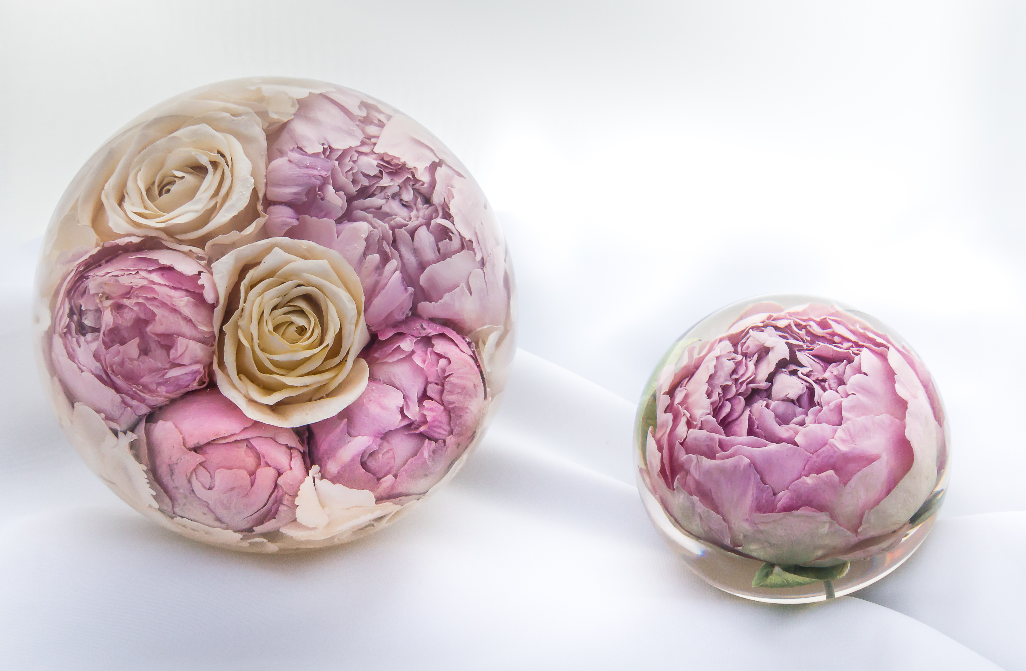 Flower Preservation (1 of 4) Flower Preservation