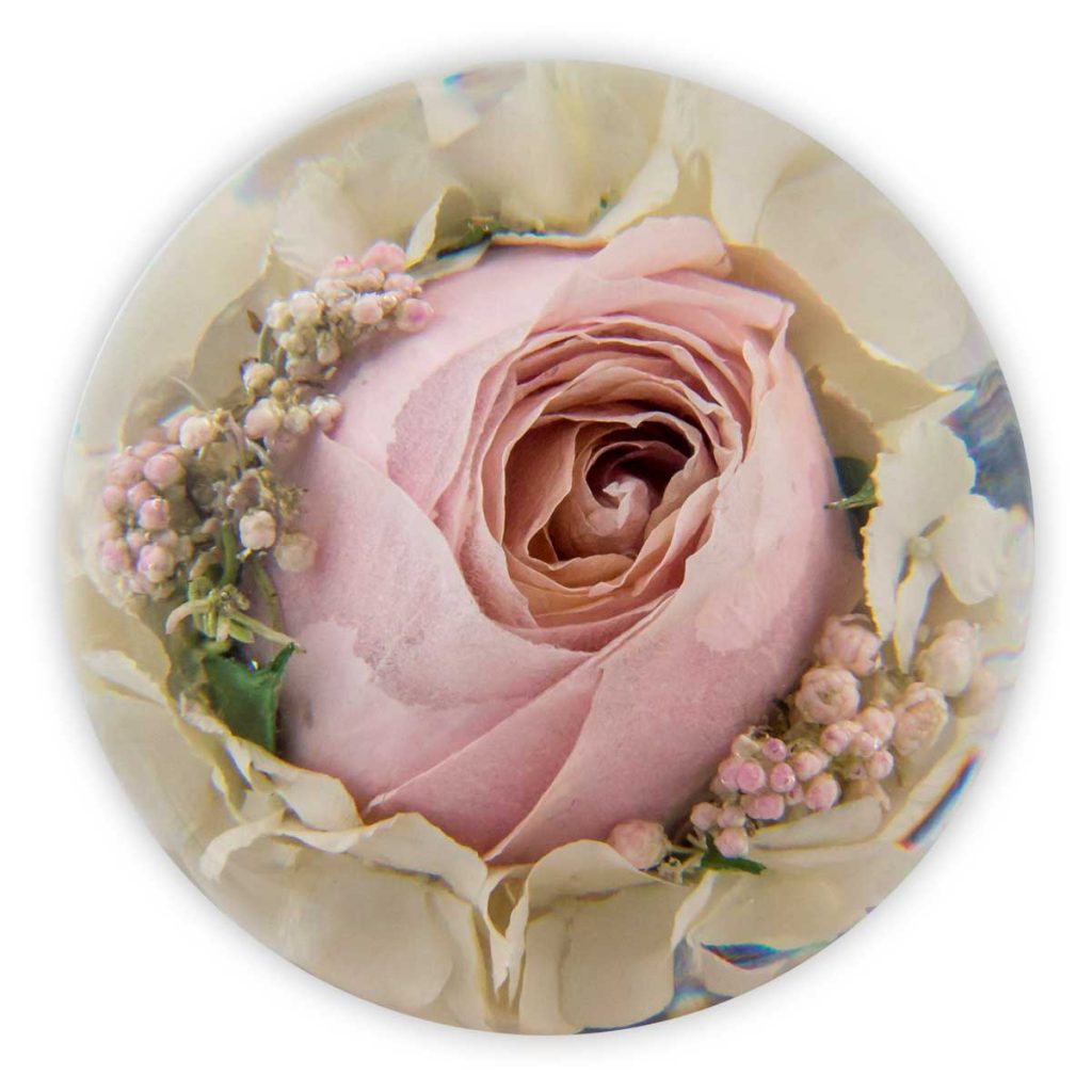 Multi Flower Paperweight 3.5 inch Flower Preservation