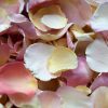 Freeze dried petals for wedding confetti and decorations