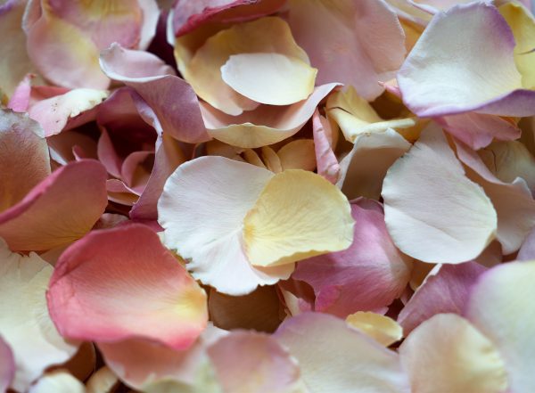 Freeze dried petals for wedding confetti and decorations