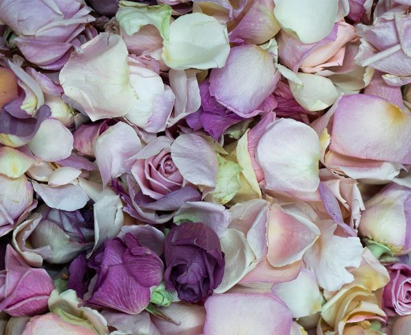 Freeze dried petals for wedding decorations by Flower Preservation Workshop