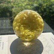 3.5" Single Flower Paperweight