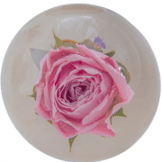 2.5" Single Flower Paperweight