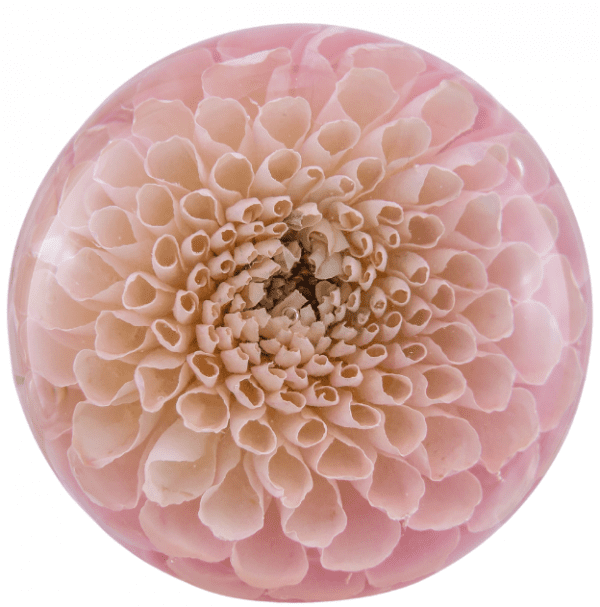 Wedding Bouquet Preservation Size Guide Flower Preservation