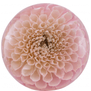Single Flower Paperweight - The Flower Preservation Workshop