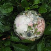 5" Multi Flower Paperweight