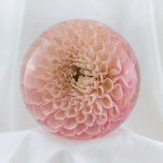 4.5" Single Flower Paperweight