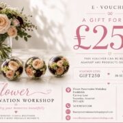 Gift voucher £250