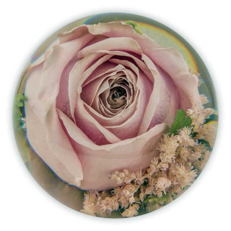 Single Flower Paperweight- The Flower Preservation Workshop