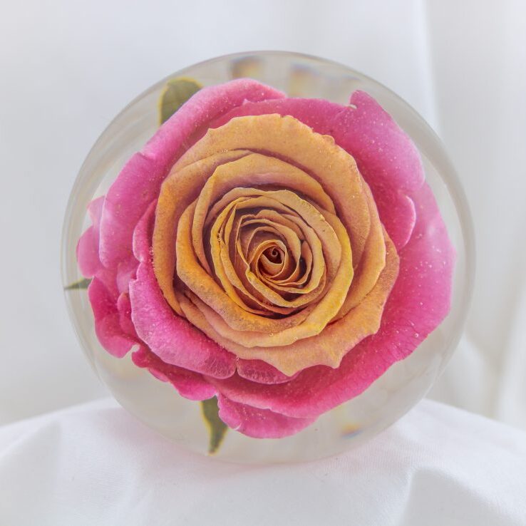Flower Preservation Aug 2019 - Large (32 of 75)