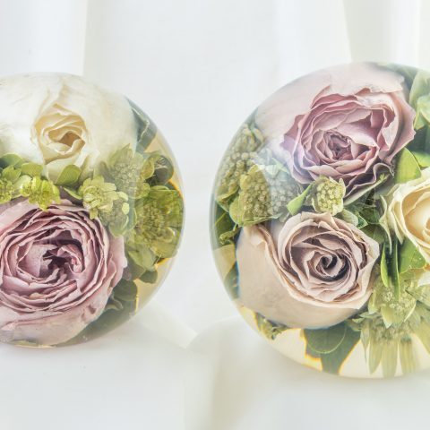 Flower Preservation Decemebr 2019 - 2 (1 of 5)