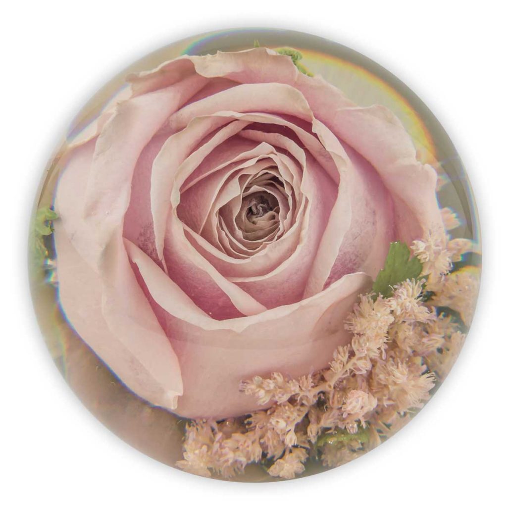 Single Flower Paperweight- The Flower Preservation Workshop Single Flower Paperweight- The Flower Preservation Workshop