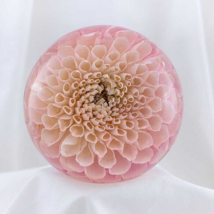 Single Flower Paperweight - The Flower Preservation Workshop