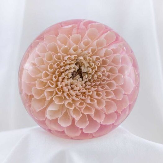 Single Flower Paperweight - The Flower Preservation Workshop