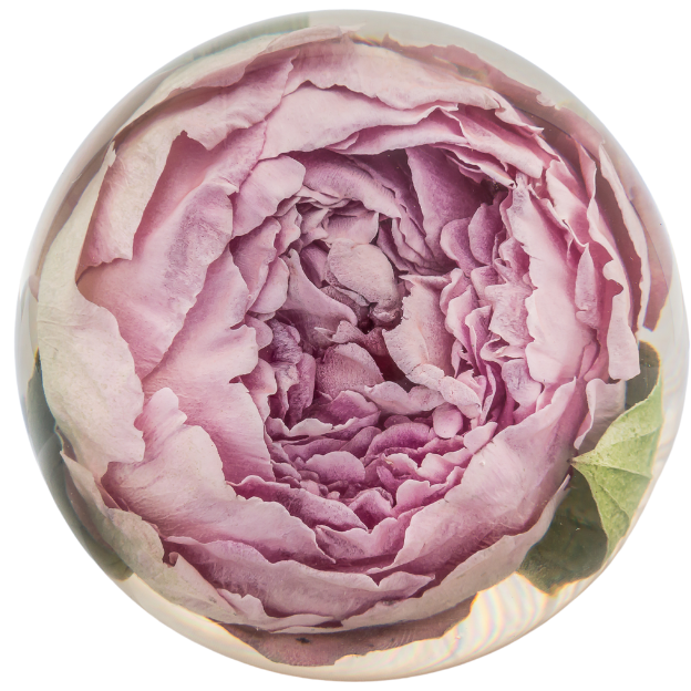 Single Flower Paperweight - The Flower Preservation Workshop