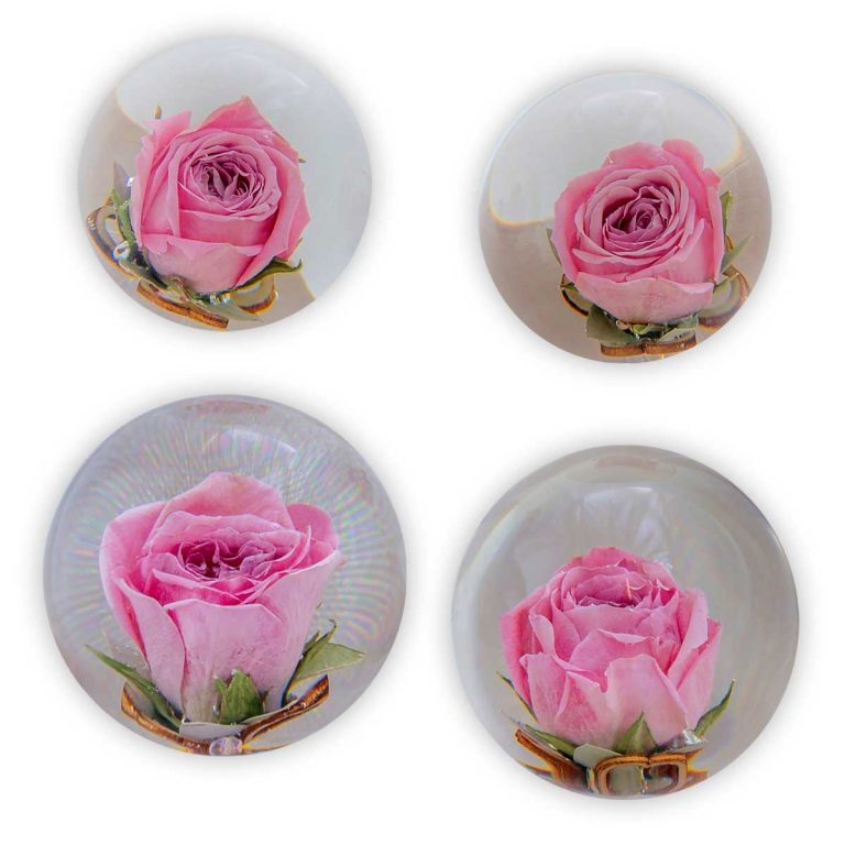 Multiple Flower Paperweights - The Flower Preservation Workshop